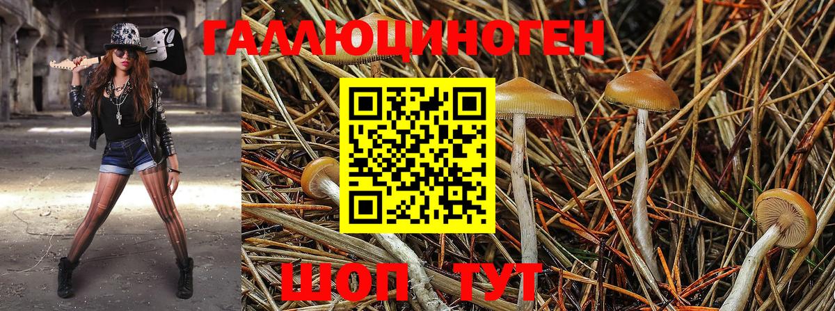 Сургут  Галлюциногенные грибы MAGIC MUSHROOMS  Вход с VPN 